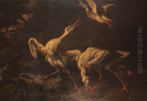 Canards, Herons Et Grenouilles Oil Painting by Abraham Danielsz. Hondius