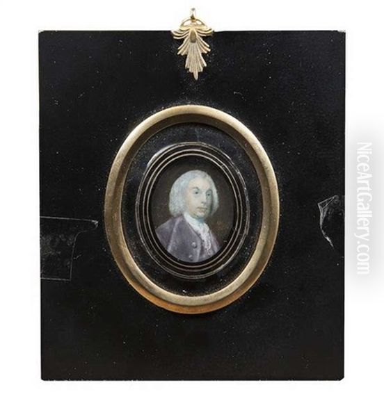 Portrait Of Mr. Hayter Oil Painting by Nathaniel Hone