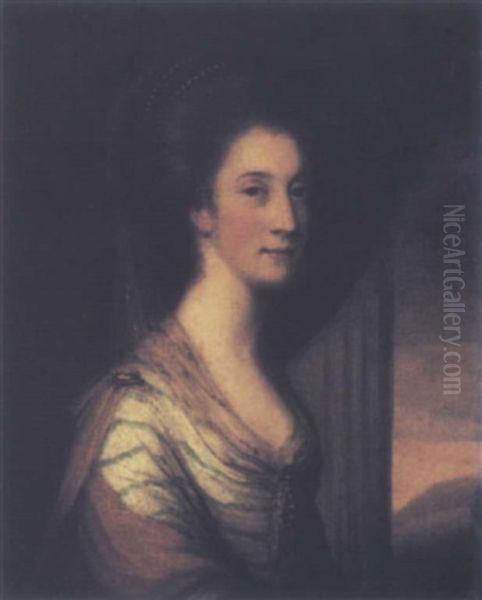 Portrait Of Miss Diana Stuart, Wife Of Sir William Milner, 3rd Baronet Oil Painting by Nathaniel Hone