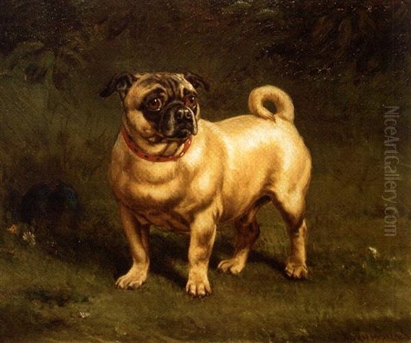 Pug Oil Painting by William H. Hopkins