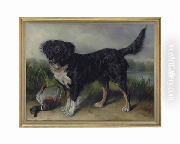 A Retriever With A Mallard Drake Oil Painting by George William Horlor