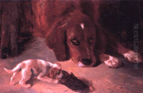 Inquisitive Puppy Oil Painting by George William Horlor