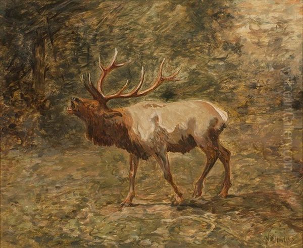 Elk Oil Painting by John Dare Howland
