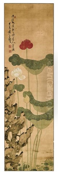 Lotus And Rock Oil Painting by Huang Shanshou