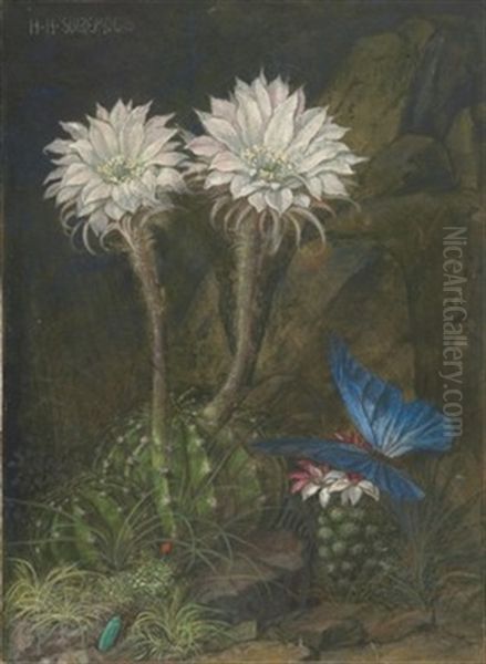 Konigin Der Nacht Und Blauer Schmetterling Oil Painting by Hans Huber-Sulzemoos