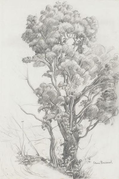 Alter Baum Am Wegrand Oil Painting by Aime Barraud