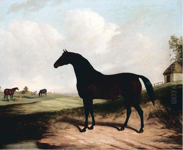 A Bay Hunter Oil Painting by Francis Barraud