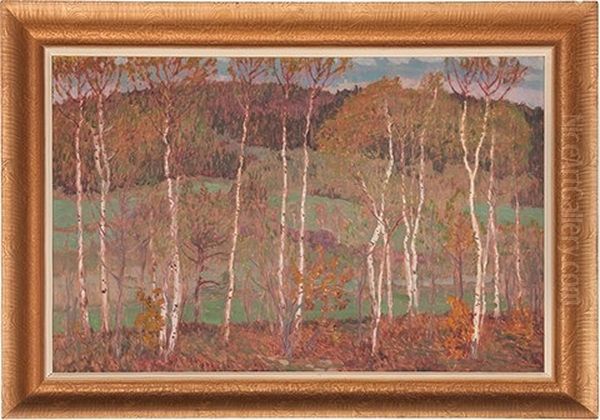 Landscape With Birch Trees Oil Painting by Antonin Hudecek