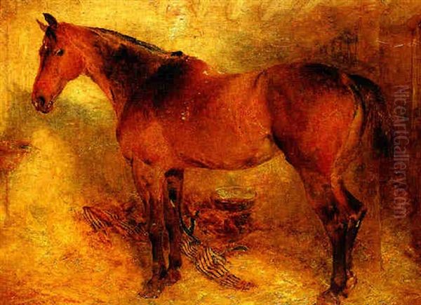 Horse In A Loose Box Oil Painting by William Huggins