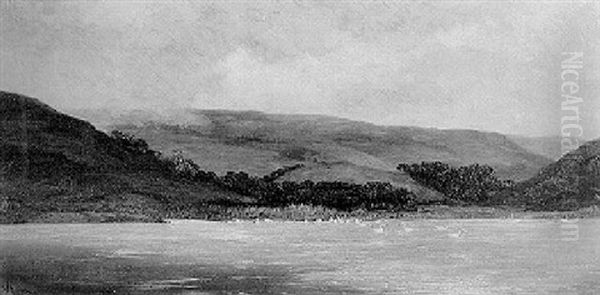 The Swannery At Abbotsbury Oil Painting by William Hughes