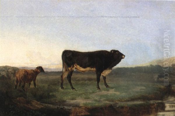 Stier Und Schaf Auf Der Weide Oil Painting by Charles (Jean-Ch. Ferdinand) Humbert