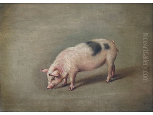 Piglet Oil Painting by Edgar Hunt