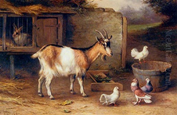 A Farmyard With A Goat, A Rabbit, Two Doves And Pigeons Oil Painting by Edgar Hunt