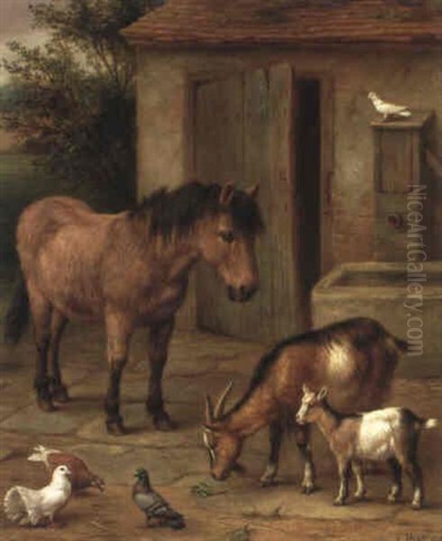 A Pony And Goats In A Farmyard Oil Painting by Edgar Hunt