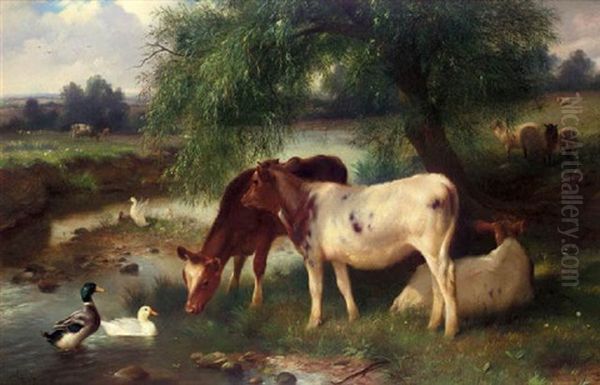 Calves And Mallards At A Stream Oil Painting by Walter Hunt
