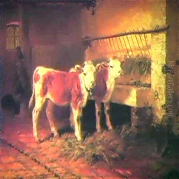 Two Calves In A Barn Oil Painting by Walter Hunt