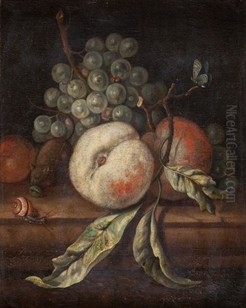 Stillleben Mit Fruchten, Maus, Schnecke, Schmetterling Und Insekten Oil Painting by Justus van Huysum