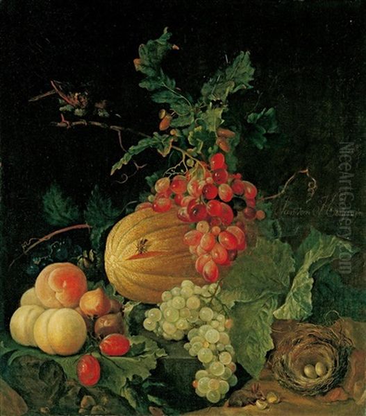 Stillleben Mit Fruchten Und Einem Vogelnest Oil Painting by Justus van Huysum