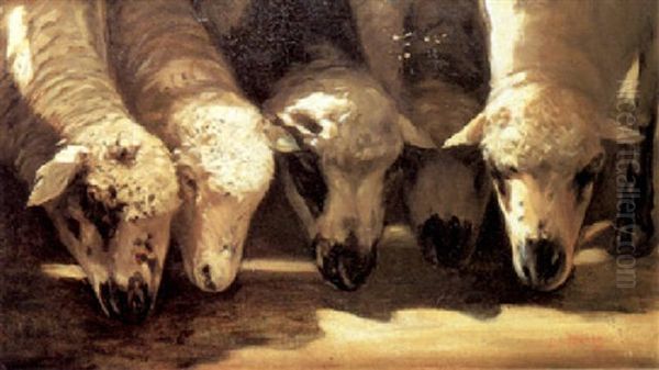 Ovejas Sesteando Oil Painting by Lino Casimiro Iborra