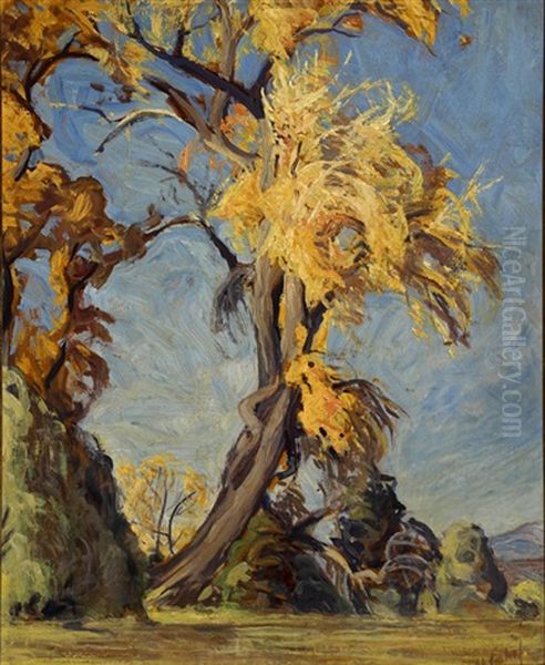 The Trees Of Pot Creek, Nm Oil Painting by Joseph A. Imhof
