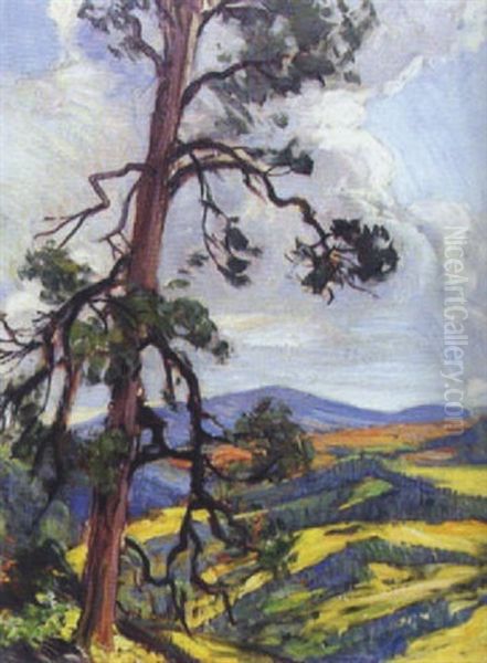 Ponderosa Pine And Yellow Aspen Oil Painting by Joseph A. Imhof