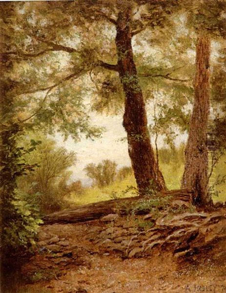 Pathway To The Highlands - Upper Hudson Valley Oil Painting by Albert Babb Insley