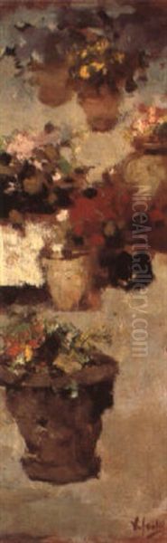 Fiori In Terrazza Oil Painting by Irolli Vincenzo