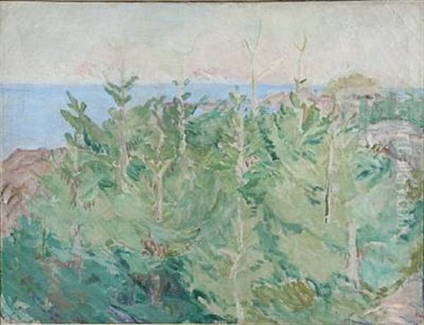 Pines By The Sea, Bornholm Oil Painting by Kraesten Iversen