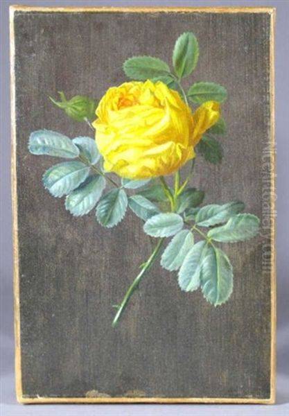 Rose Oil Painting by Moise Jacobber