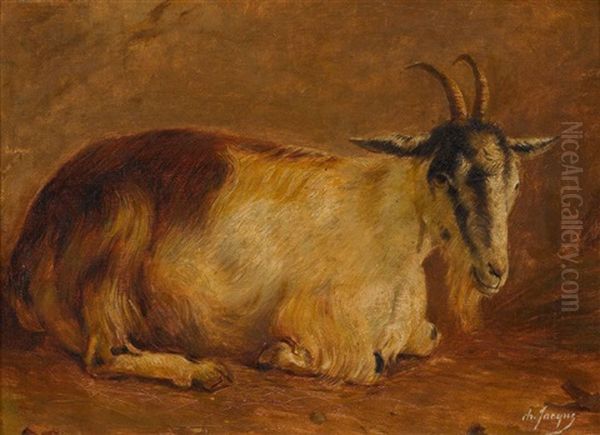 Ruhende Ziege Oil Painting by Charles Emile Jacque