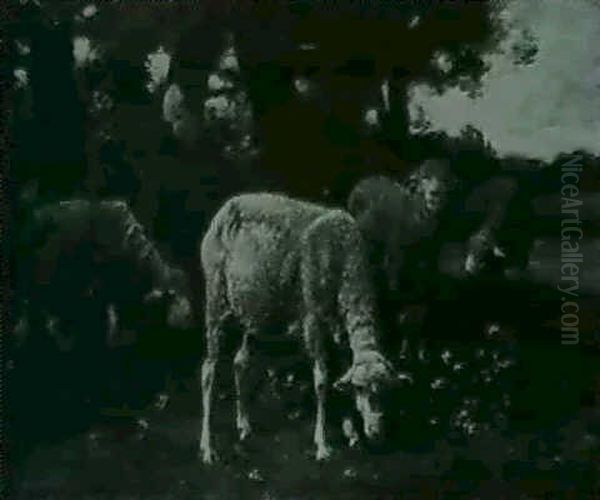 Schafe Am Waldweiher Oil Painting by Charles Emile Jacque