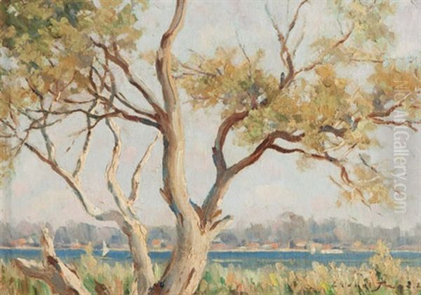 Tree Patterns Swan River Oil Painting by Lionel Jago