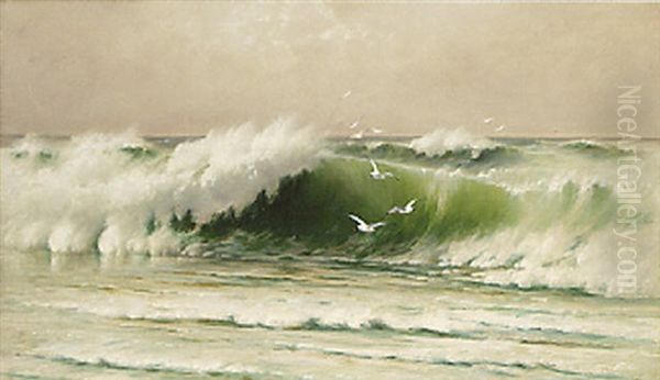 Seascape With Seagulls Oil Painting by David James
