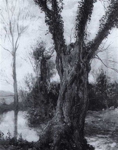 Aged Tree Oil Painting by Alexander Jamieson