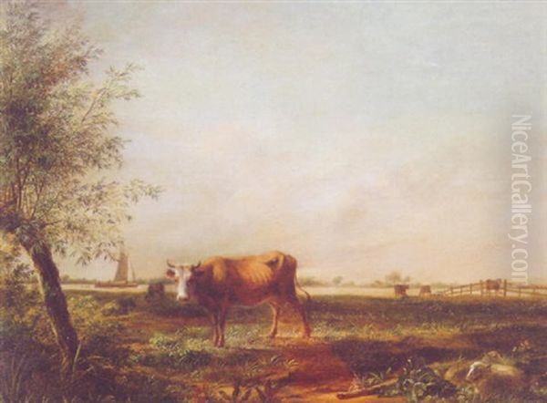 Cattle And Sheep In An Extensive River Landscape Oil Painting by Johannes I Janson