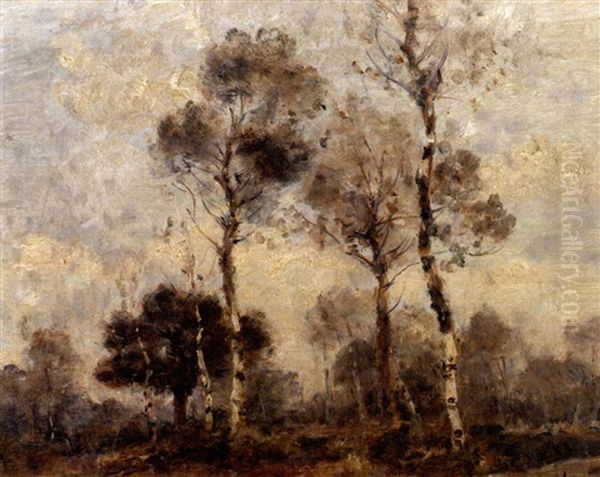 Paysage Forestier Au Bouleaux Oil Painting by Louis-Aime Japy