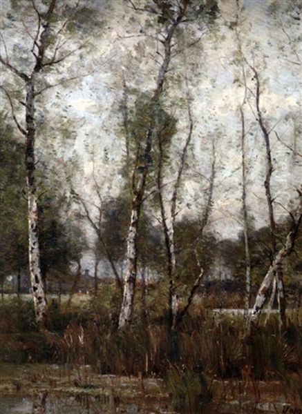 Les Bouleaux Oil Painting by Louis-Aime Japy