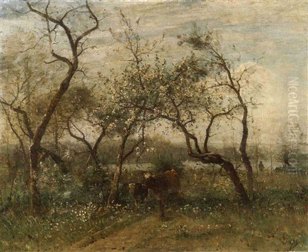 Cows Resting Under Fruit Trees In Bloom Oil Painting by Louis-Aime Japy