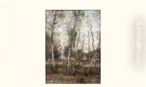 Bouleaux Au Bord D'un Etang Oil Painting by Louis-Aime Japy