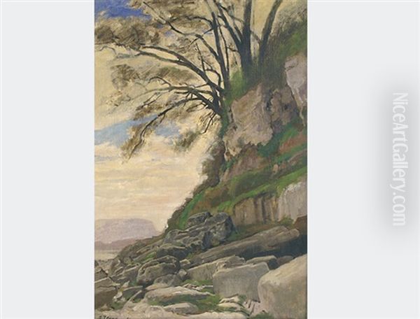 Cliff With Bushes Oil Painting by Frederic Jeanneret