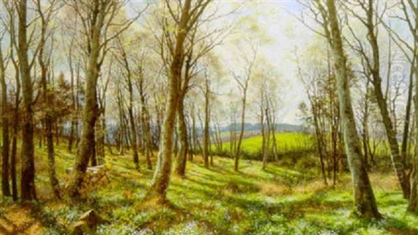 Forarslandskab Ved Skovbryn Med Nyudsprungene Traeer Og Anemoner, I Baggrunden Udsigt Over Marker Oil Painting by Carl Milton Jensen