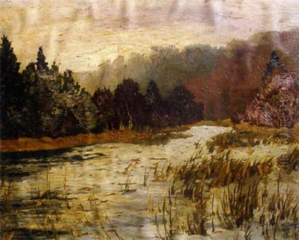 Paisaje De Bosques Con Rio Oil Painting by Karl Jensen