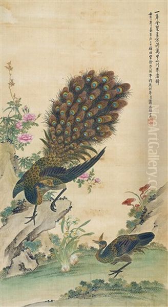 Peacock Oil Painting by Jiang Tingxi