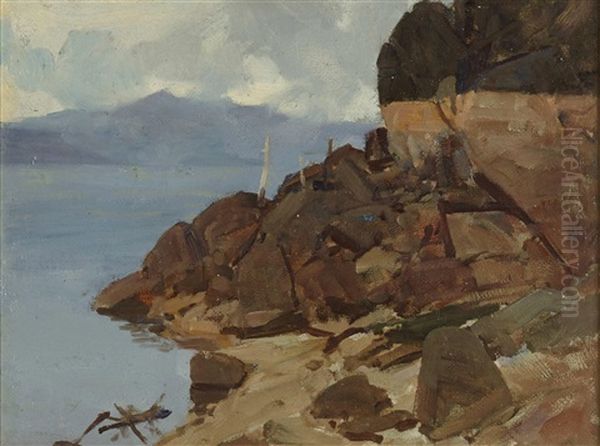Coastal Study Oil Painting by Frank Johnson