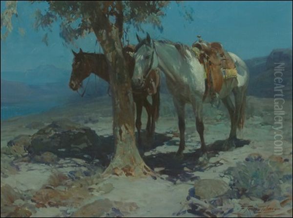 Silent Night, Or The Canopy Of Night Oil Painting by Frank Johnson