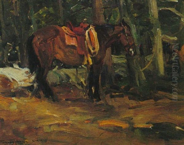 Dark Horse Oil Painting by Frank Johnson