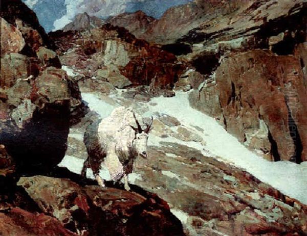 Haunter Of The Silences Oil Painting by Frank Johnson