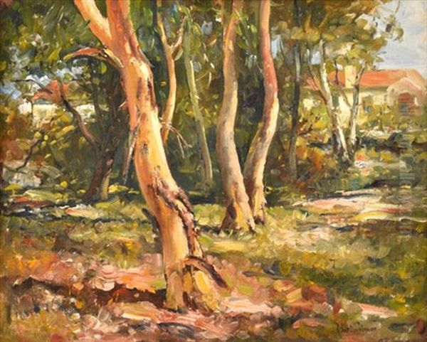 Linfield Gums Oil Painting by Robert Johnson