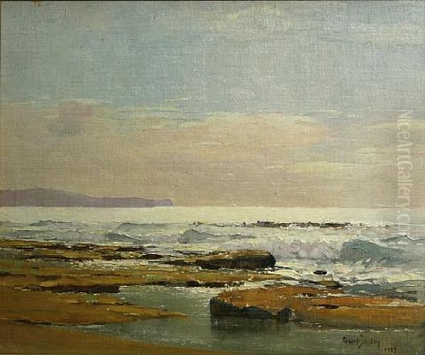 The Heads, Sydney Harbor Oil Painting by Robert Johnson