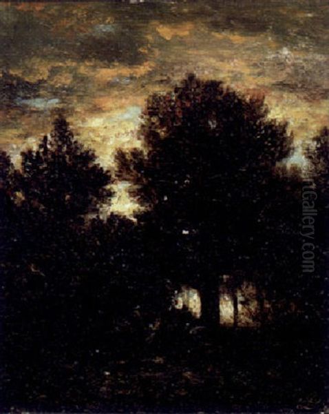 Forest Landscape Oil Painting by David Johnson